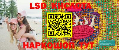 шишки Заволжье
