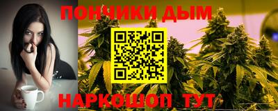 шишки Заволжье