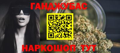 шишки Заволжье