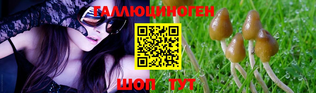 Псилоцибиновые грибы мицелий  Вход с VPN  Луховицы 
